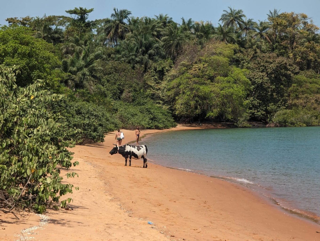 Visiting the Bijagos Islands of Guinea-Bissau