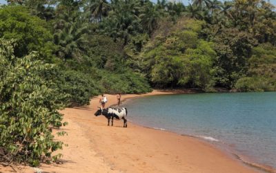 What to Know About Visiting the Bijagos Islands of Guinea-Bissau in 2024
