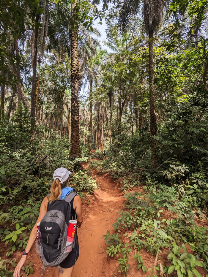 Walking through jungle paths on the island of Canhabaque in the Bijagos Islands of Guinea-Bissau
