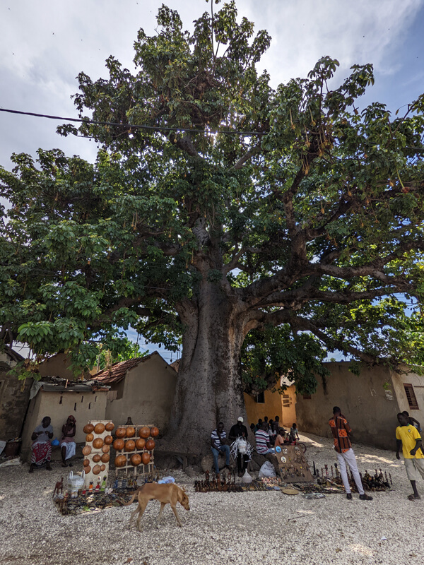 Baobab tree on Fadiouth island in Senegal