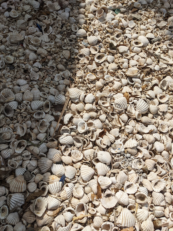 The island of Fadiouth in Senegal is made of seashells