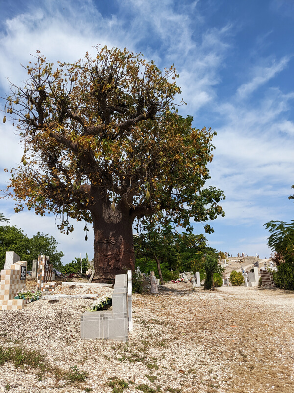 The Christian and Muslim cemetary of Fadiouth, Senegal