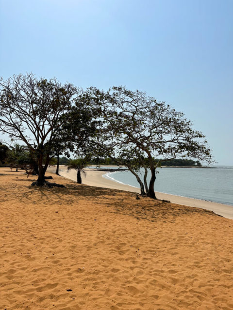 The HighLands: Bissau To The Fouta Djallon Of Guinea (14 Days) - Scoot ...