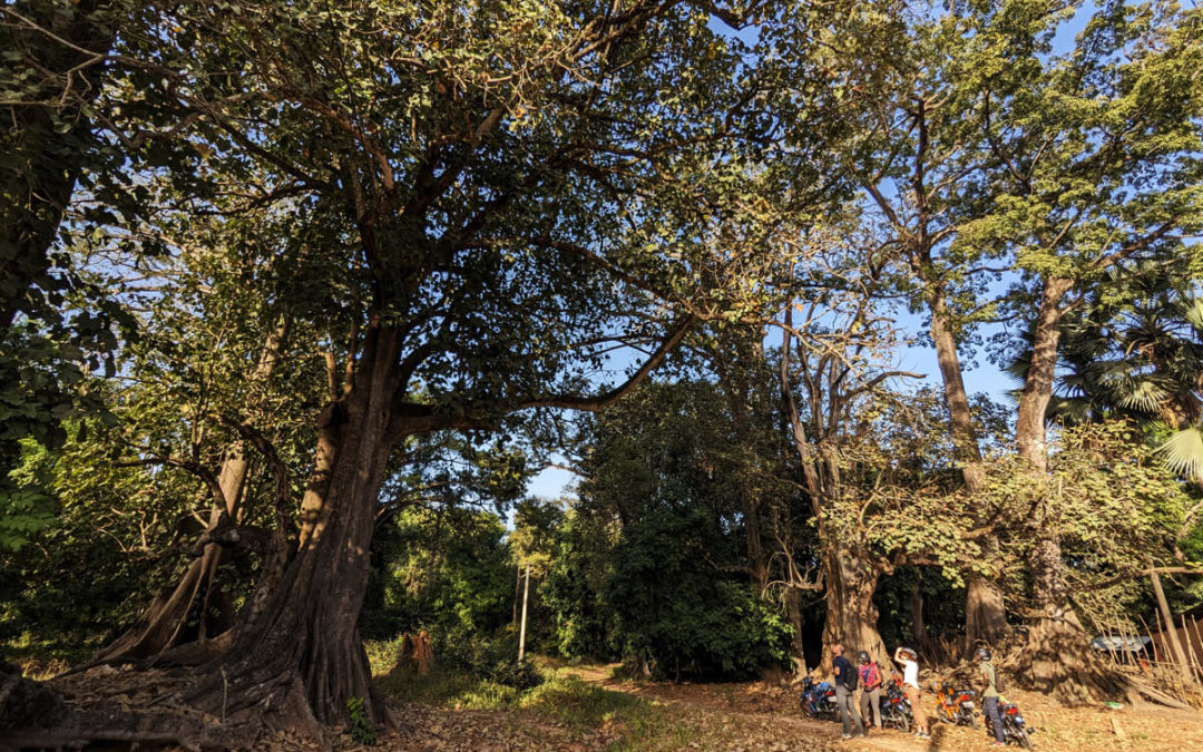 Exploring Oussouye, the Animist Kingdom of the Casamance