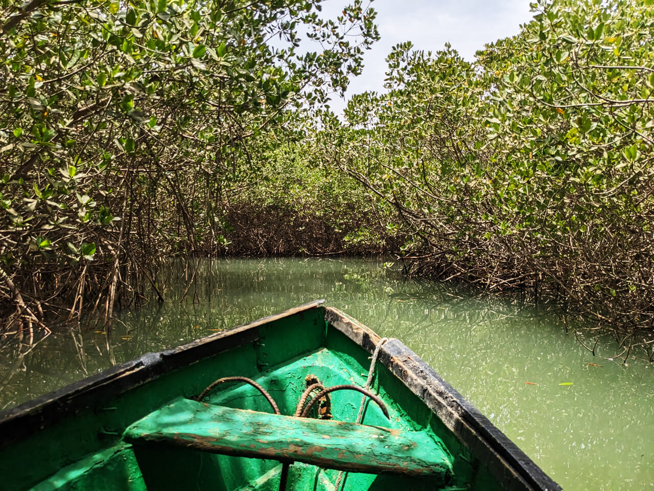 Visiting The Lagoon in Somone, Senegal - Scoot West Africa