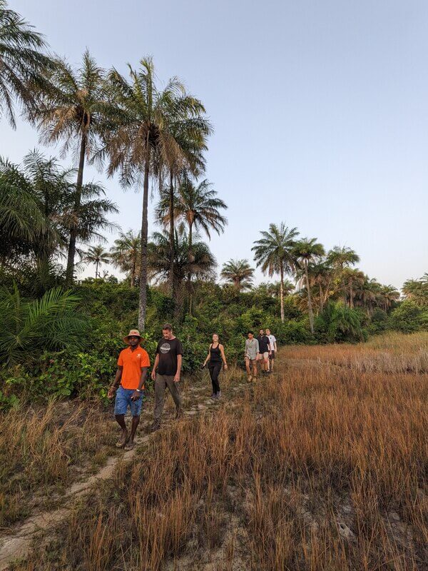 Walking through a grove of palm trees near the mangroves in Canchungo, Guinea-Bissau