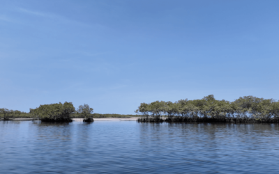 Taking a Boat from Ndangane to Toubakouta in Senegal