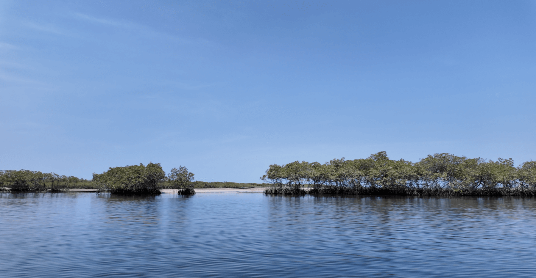 Taking a boat through the Sine-Saloum from Ndangane to Toubakouta in Senegal