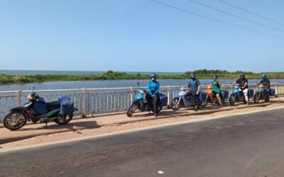 What Kind of Bikes Do We Ride?