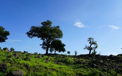 Crossing at Seme Krake with an e-visa for Nigeria